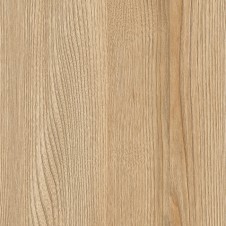 DK590 凱特木