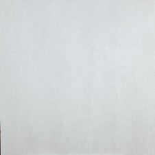 210 波特蘭白